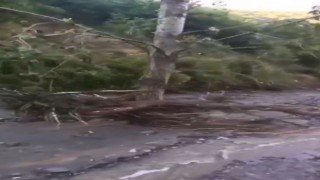 Elazığda sağanak yağış köy yollarını tahrip etti