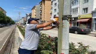 Elektrik direklerine ahşap kaplama