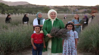 Emine Erdoğan, Ankarada Ekolojik Köy ziyareti ve lavanta hasadı yaptı