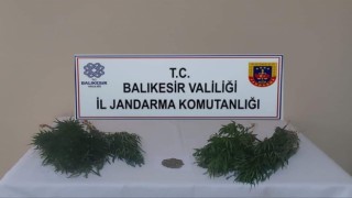 Erdekte uyuşturucu operasyonları devam ediyor