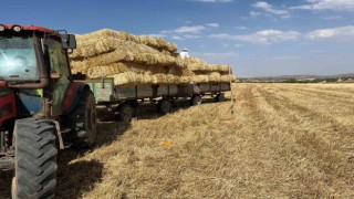 Erzincanda çiftçilerin saman mesaisi başladı