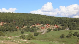Erzincanın yeşil cenneti: Dumanlı Tabiat Parkı