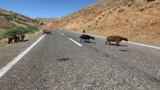 Erzurum Valiliğinden ceza açıklaması