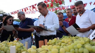 Esenli Üzüm Şenliği, üzüm üreticilerinin yüzünü güldürdü