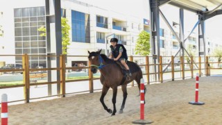 Esenyurtta at binicilik tesisi yoğun ilgi görüyor