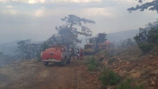 Eskişehirde çıkan orman yangını kontrol altına alındı