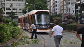 Eskişehirde rüzgarda kırılan dal tramvay seferlerini aksattı