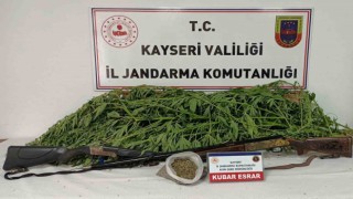Evin bahçesinde kenevir bulunan şahıs yakalandı