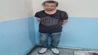 Eyüpsultanda kedilere asit dökerek zarar veren zanlı yakalandı