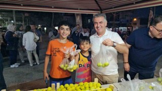 Festivalde 5 ton taze incir dağıtıldı