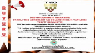 Fındık üreticilerine ‘dolandırıcılık uyarısı