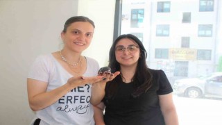 Gazetecilerden Ebabil kuşuna şefkat eli