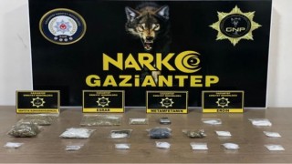 Gaziantepte 25 kök kenevir ele geçirildi