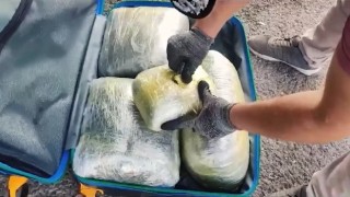 Gaziantepte 6 kilo 450 gram skunk ele geçirildi