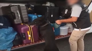 Gaziantepte 6 kilo skunk ele geçirildi