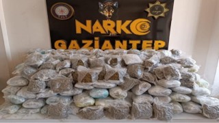 Gaziantepte 81 kilo shunk ele geçirildi