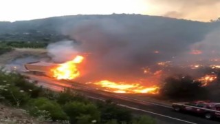 Gördeste kamyonda çıkan yangın ormana sıçradı