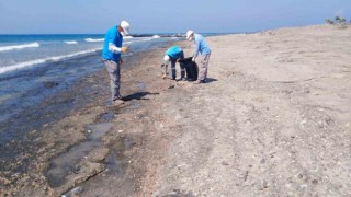 Hatay sahilleri Hatay Büyükşehir Belediyesi tarafından temizleniyor