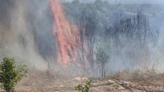 Hatayda makilik arazi yangını söndürüldü