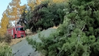 Hatayda orman yangını büyümeden kontrol altına alındı