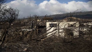 Hawaii'de can kaybı 96'ya yükseldi