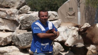 Her birinin ayrı hikayesi var: Emekli hayvanlar böyle dinleniyor