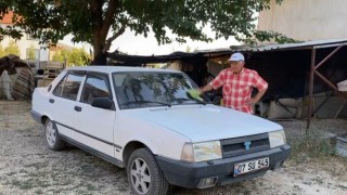 Hiç gitmediği İstanbuldan gelen cezalar bezdirdi: “Plakayı değiştireceğim”