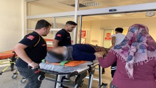 İncir ağacından düşen kadın yaralandı