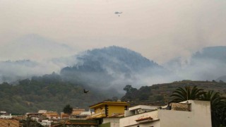 İspanyanın Tenerife Adası yangınlarla boğuşuyor: 26 bin kişi tahliye edildi