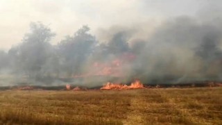 Ispartada traktörden sıçrayan yangın korku dolu anlar yaşattı