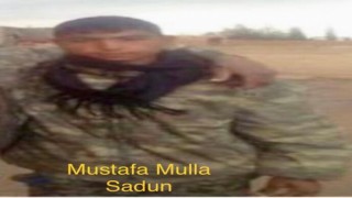 İstanbulda yakalanan YPG üyelerinden 4ü tutuklandı