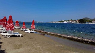 İzmir Foçada turizmi denizanası vurdu, plajlar boş kaldı