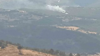İzmirde 2 orman yangını yaklaşık 30 dakikada kontrol altına alındı