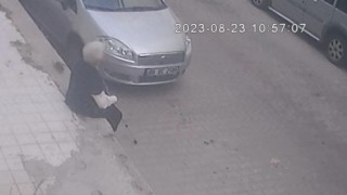 İzmirde korkunç olay: Farenin ısırdığı kadın hastanelik oldu