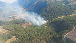 İzmirde orman yangınına havadan ve karadan müdahale ediliyor