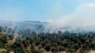 İznikte makilik alanda çıkan yangın söndürüldü
