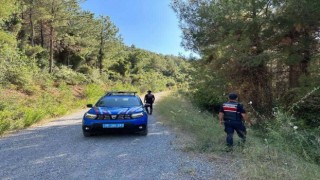 Jandarma devriyesine 6 yeni araç tahsis edildi