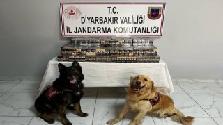 Jandarma ekipleri kaçakçılara geçit vermiyor