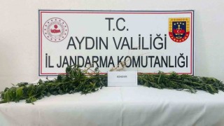 Jandarma uyuşturucuya geçit vermiyor