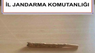 Jandarmadan 5 ilçede uyuşturucu operasyonu