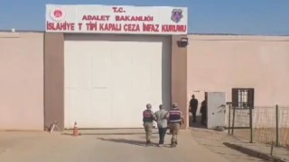 Jandarmadan aranan hırsızlık şüphelilerine operasyon: 24 tutuklama