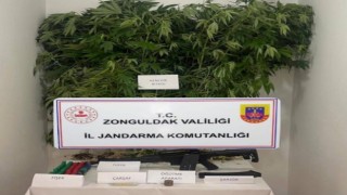Jandarmadan uyuşturucu operasyonu