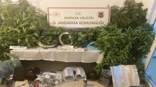 Jandarmadan uyuşturucu tacirlerine geçit yok