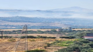 Kahramanmaraşta orman yangını