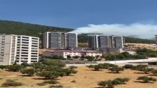 Kahramanmaraşta orman yangını