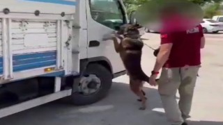 Kamyondan 6 kilo metamfetamin, 1 kilo kokain çıktı: 2 tutuklama