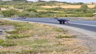 Kaplumbağayı ezilmekten kurtaran polis takdir topladı