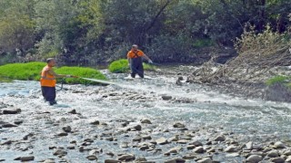 Karabükte artan sivrisineklere karşı ilaçlama yapılıyor