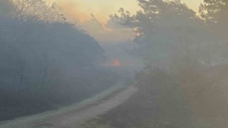 Karacabeyde orman yangını