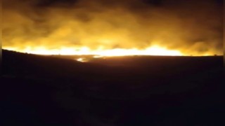 Karacadağ Bal Ormanında yangın
